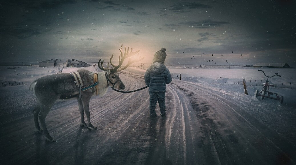 노루를 끌고 가는 아이