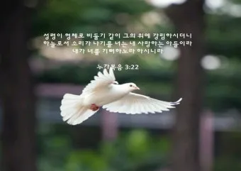 누가복음 3장 : 세례 요한의 전파_6