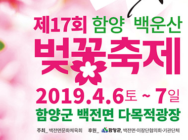 벚꽃축제