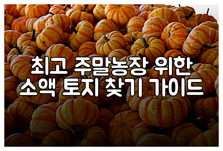 최고 주말농장 위한 소액 토지 찾기 가이드