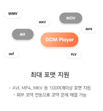 곰플레이어 코덱 무료 다운로드