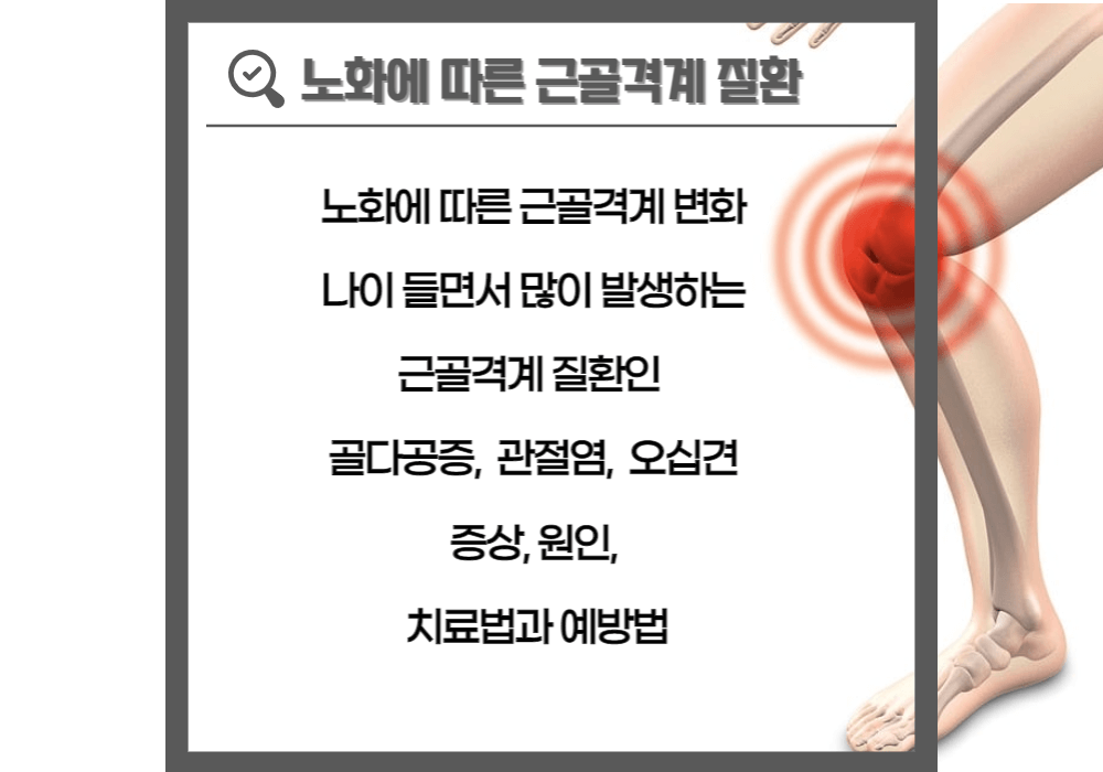 노화에 따른 근골격계 질환
