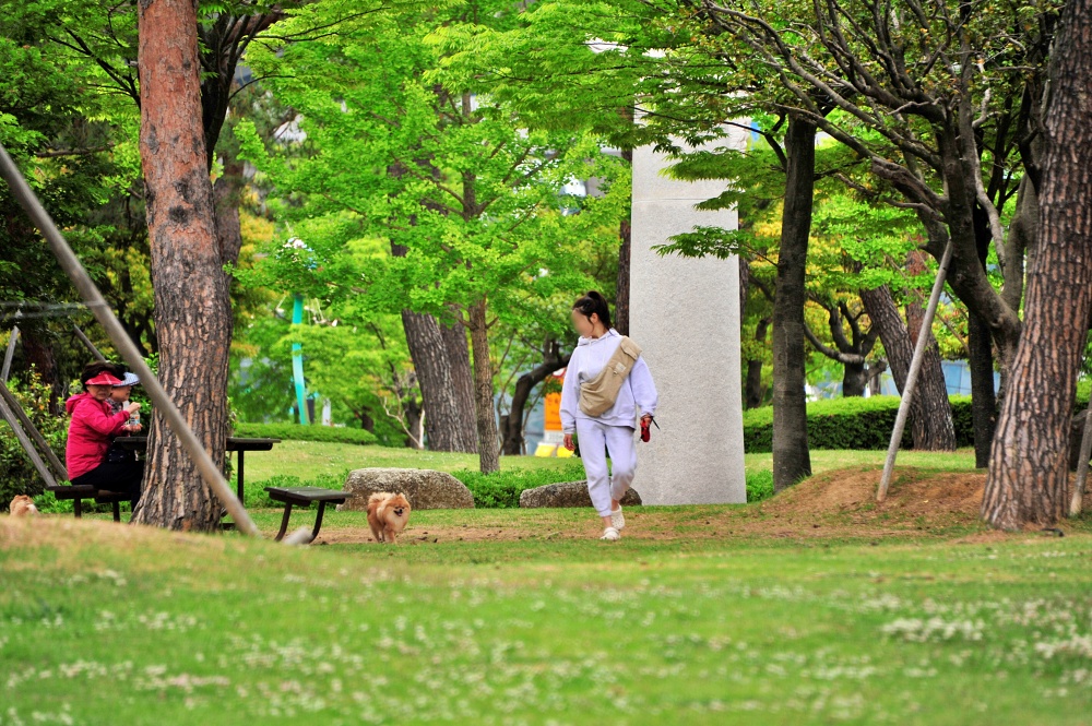 센텀 APEC 나루 공원