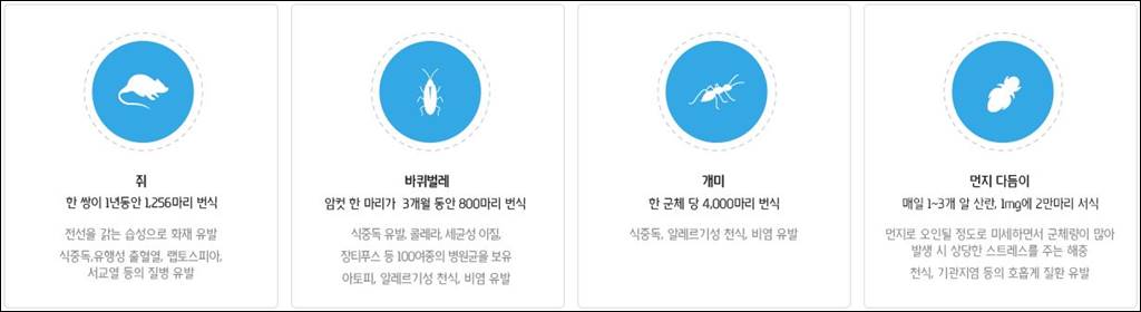 세스코 벌레