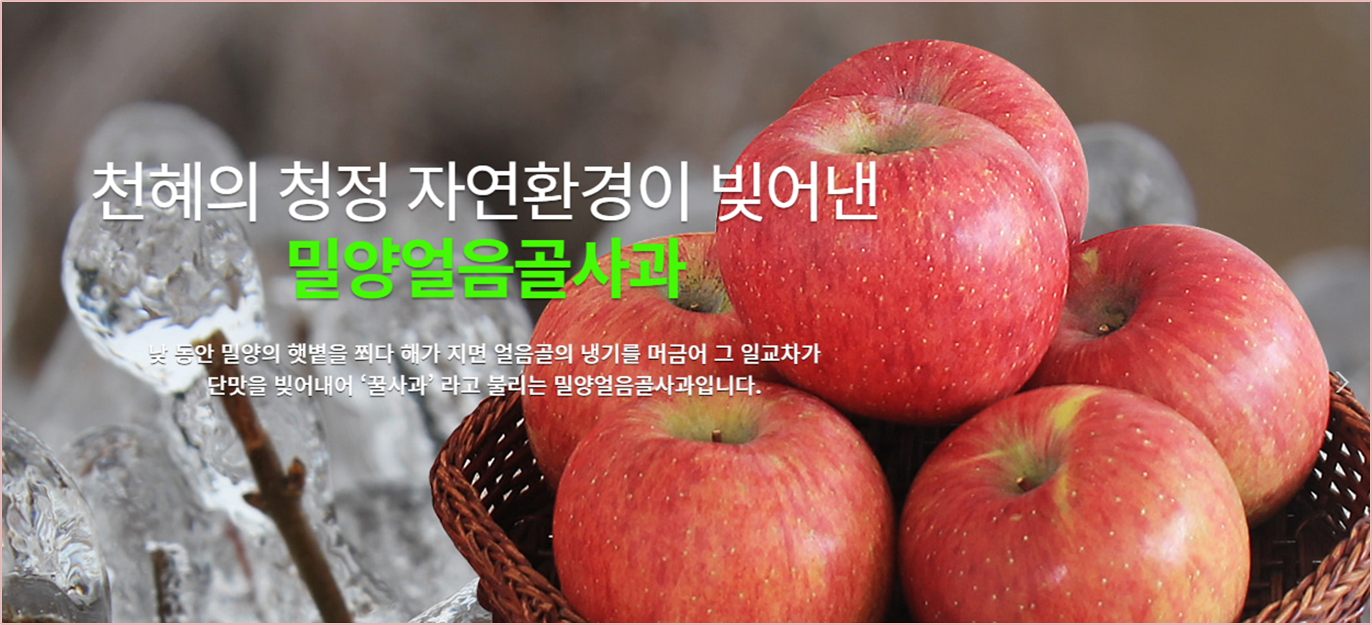 밀양얼음골사과축제