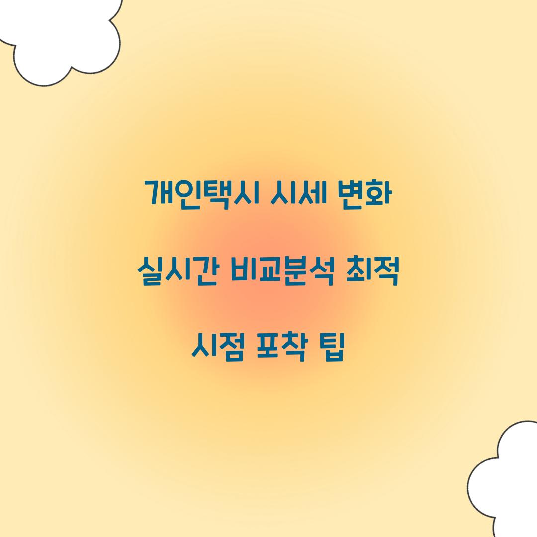 개인택시 시세