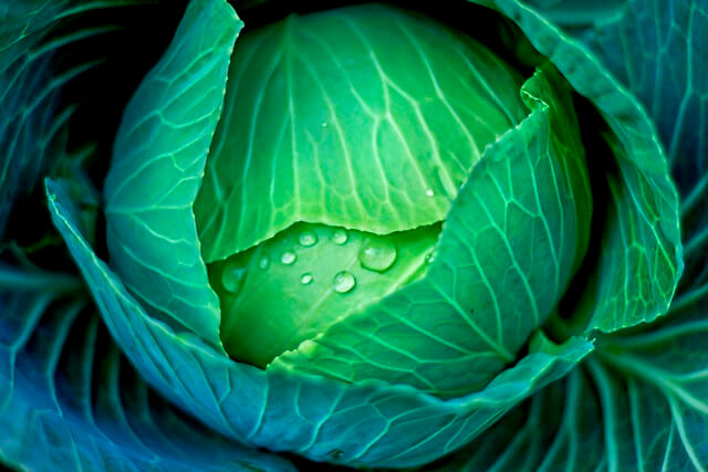 농어민수당 신청했는데 탈락