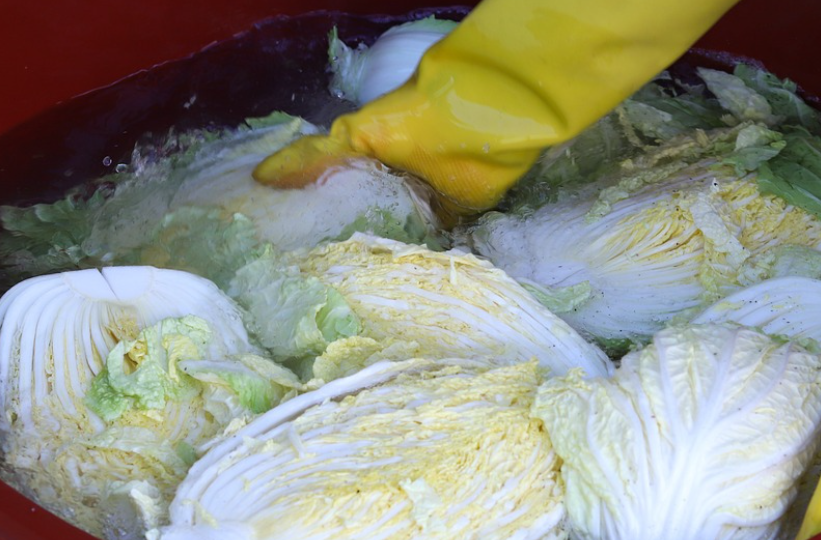 홈플러스 절임배추 사전예약