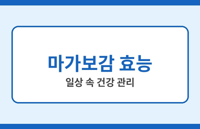 마가보감 효능