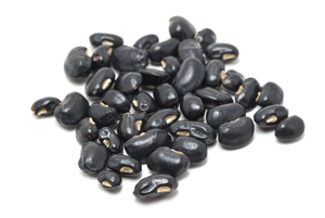 위에좋은음식17