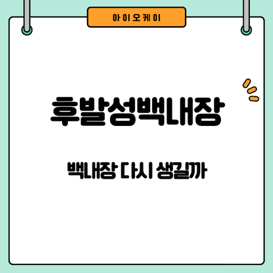 후발성백내장-백내장재발