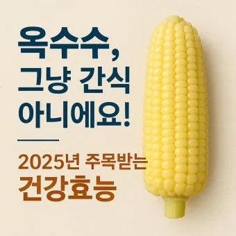 옥수수 효능과 옥수수 삶는 방법 전자렌지 초당옥수수 찰옥수수 차이 비교 자료_17