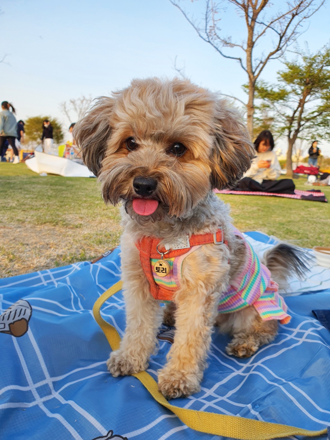 반포한강공원과 토리