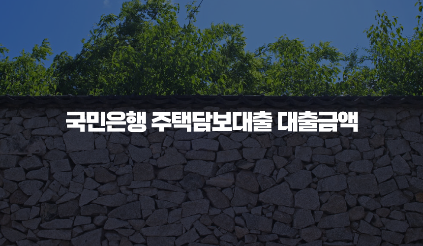 국민은행 주택담보대출 대출금액