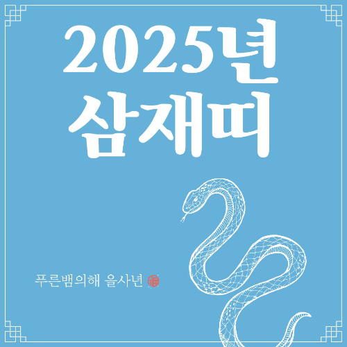2025년 삼재띠