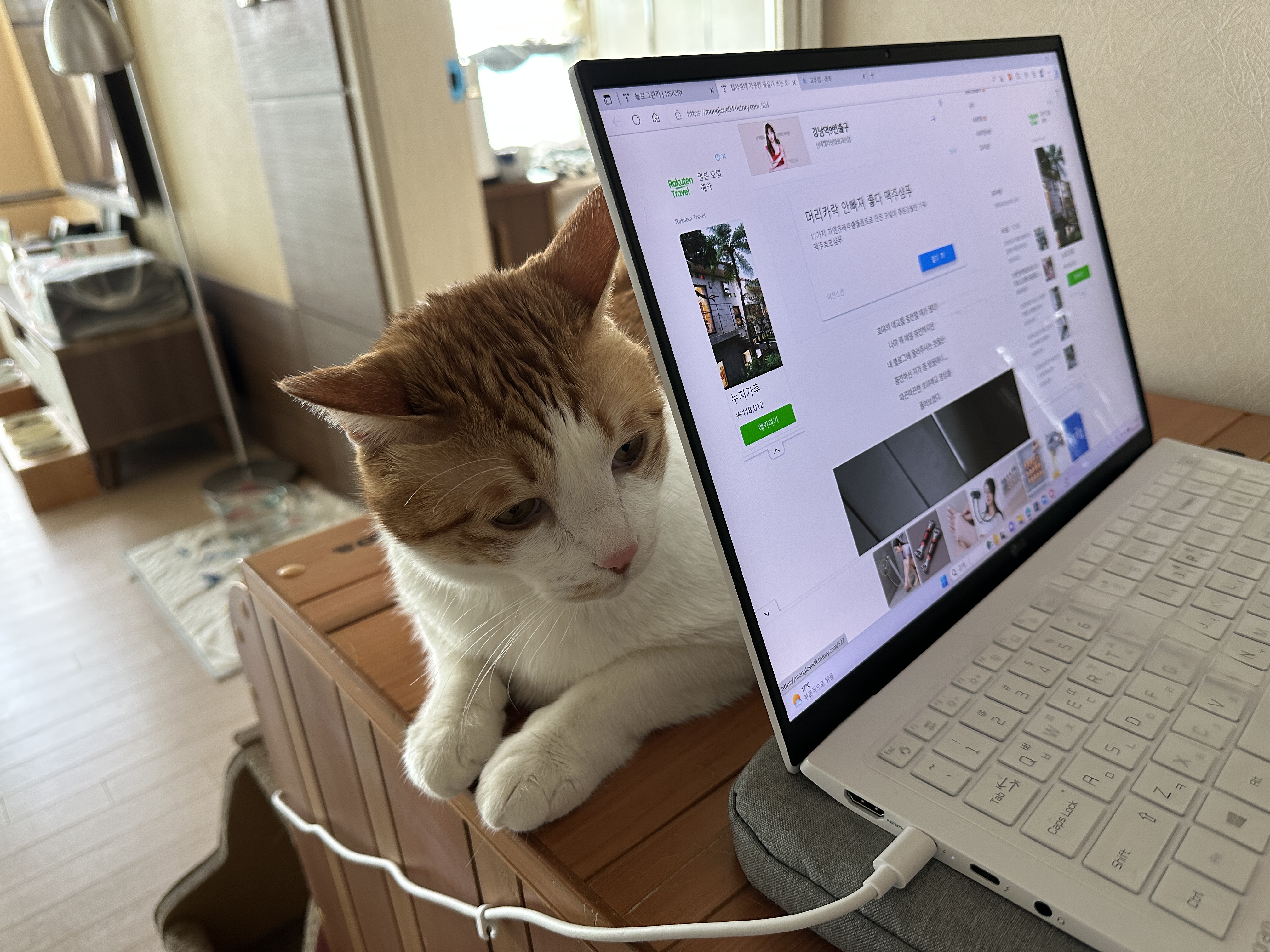 소심한 막둥이가 엄마를 지키는 방법 (feat.긴장해서 코까지 빨개진 막둥이)