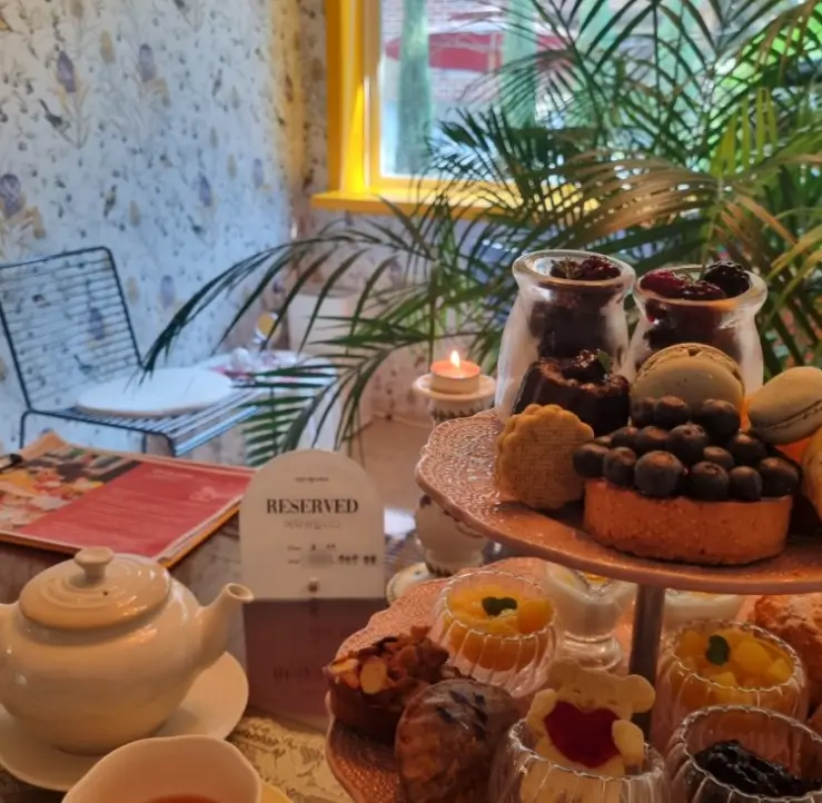 대전사람수부씨