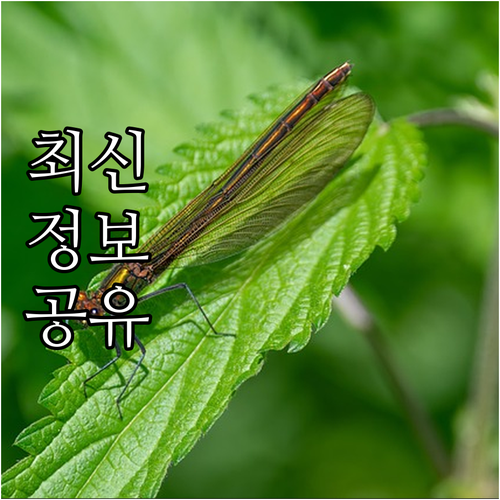 2025 기장군 국가유공자 지원 최대..