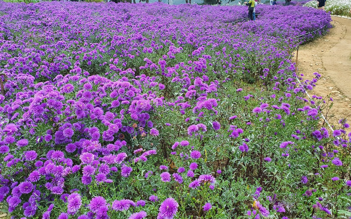 2025 건강도시 스탬프 투어