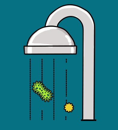 레지오넬라균 감염경로