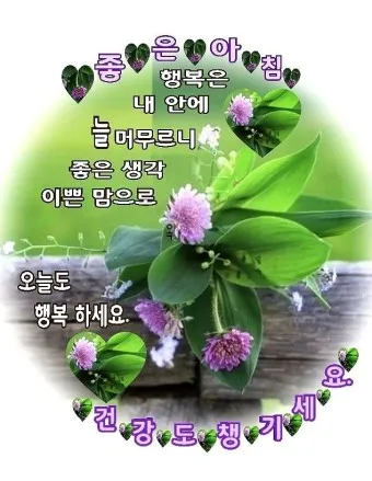 아침 인사로 좋은 글 이쁜글 기분좋은 인사말_4