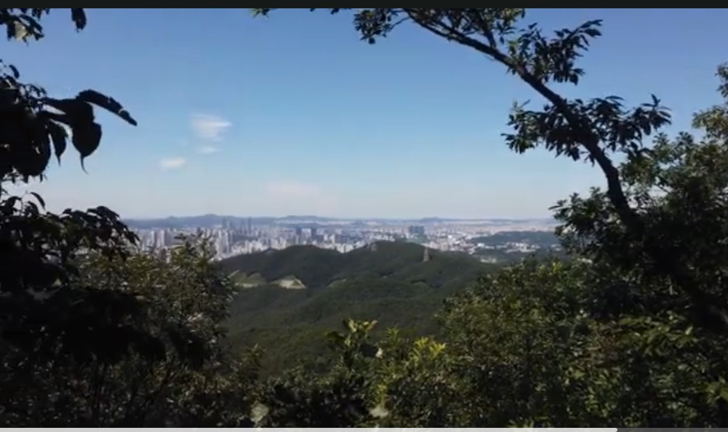 무봉산 만의사 산행일기