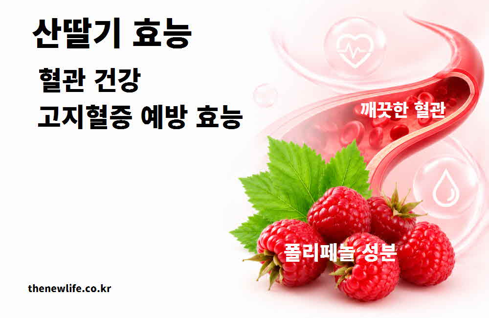 산딸기 효능 혈관 건강 고지혈증 예방