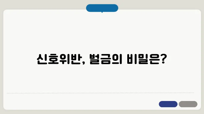 신호위반 사고시 벌금