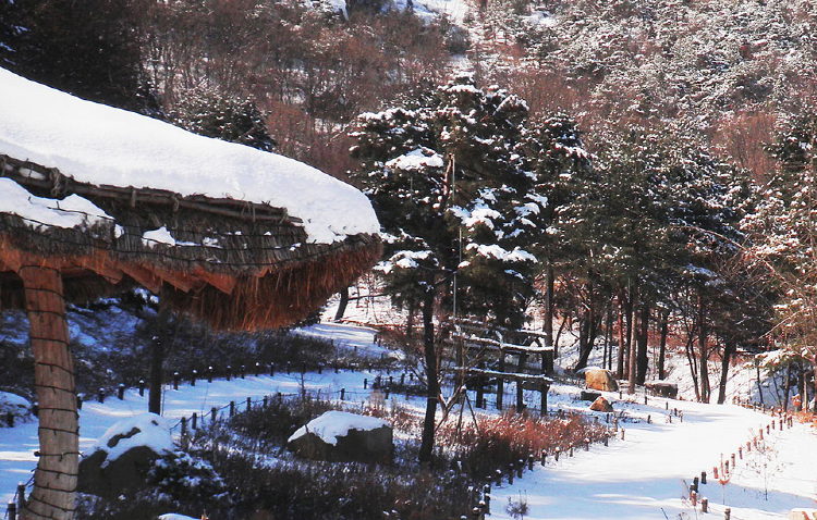 산들소리 수목원