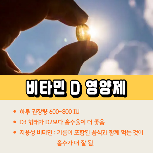 비타민 D 영양제