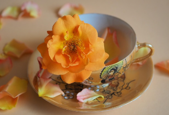 예금자 보호법 1억 시행시기 쉽게 정리 25