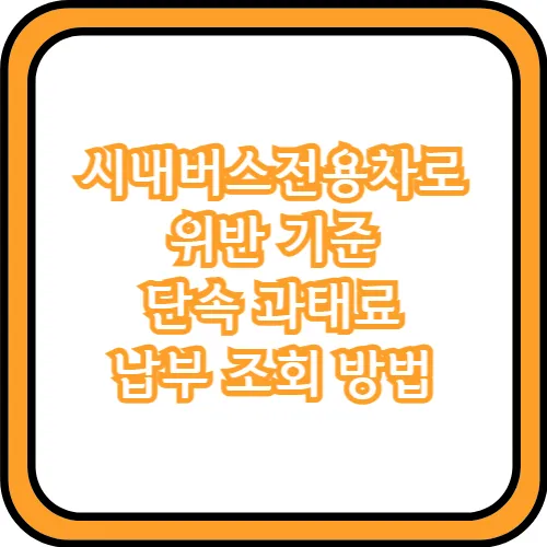 시내버스전용차로 위반