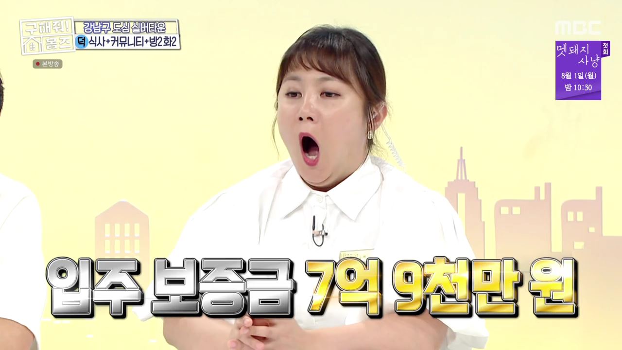 구해줘홈즈 서울시 강남구 자곡동 문을 여시오 하우스 매물 입주보증금 7억9천 월생활비 336만원 조건 소개