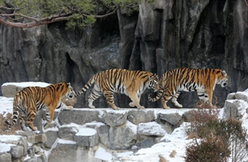 서울대공원 동물원 &amp; 테마파크 과천2