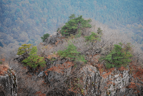 서래봉대표