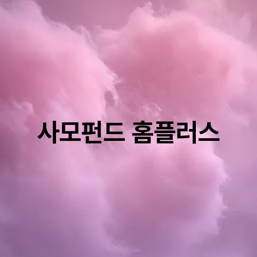 사모펀드 홈플러스