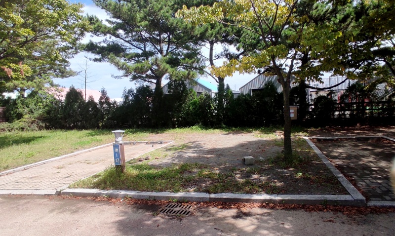 D-17사이트 나무 1구르