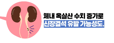 블루베리 효능 부작용