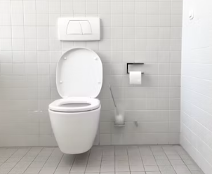 만성 방광염 증세 증상 원인 재발방지법