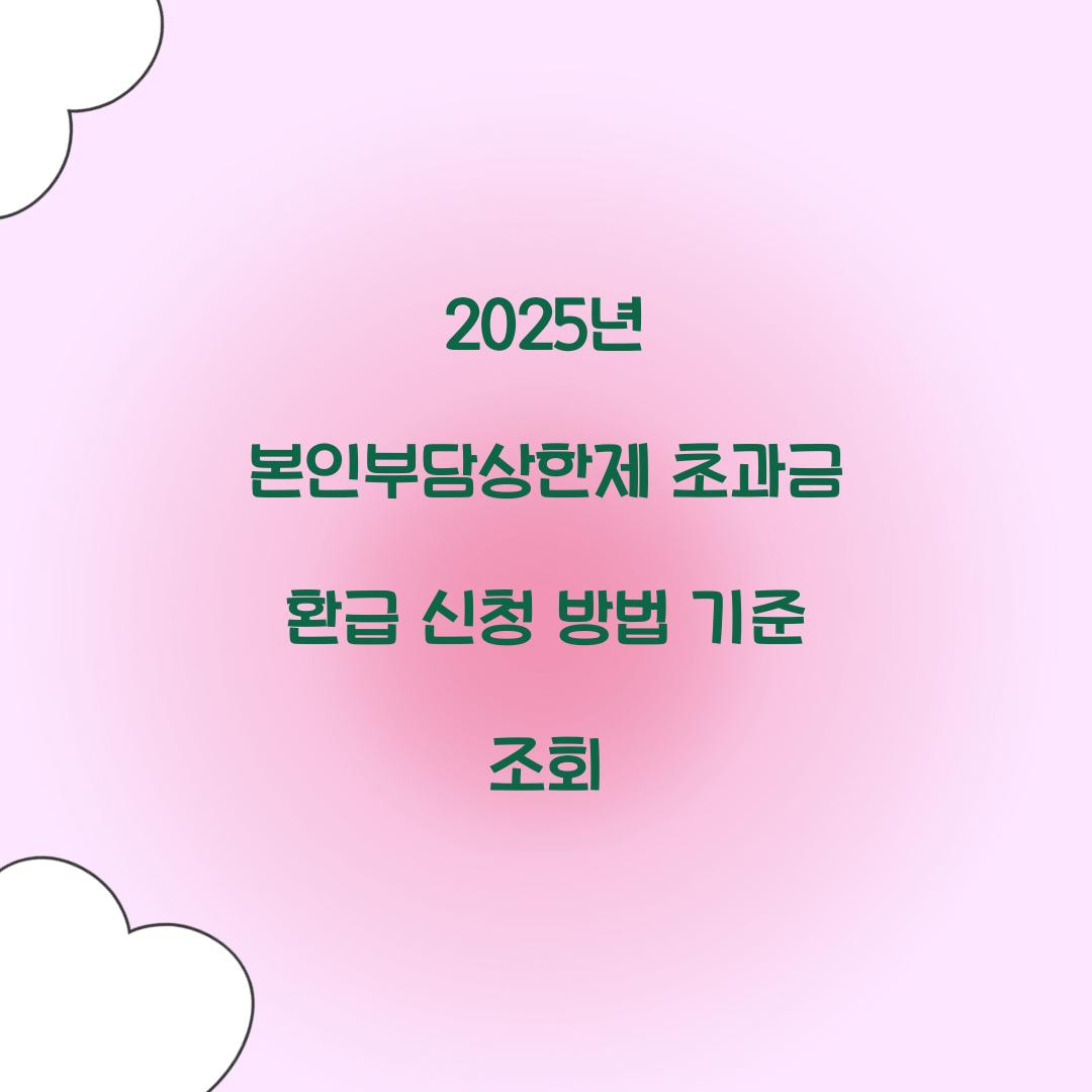 2025년 본인부담상한제 초과금 환급