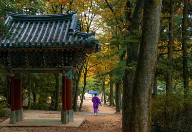 세시풍속이란세시풍속뜻&amp;#44;놀이&amp;#44;종류