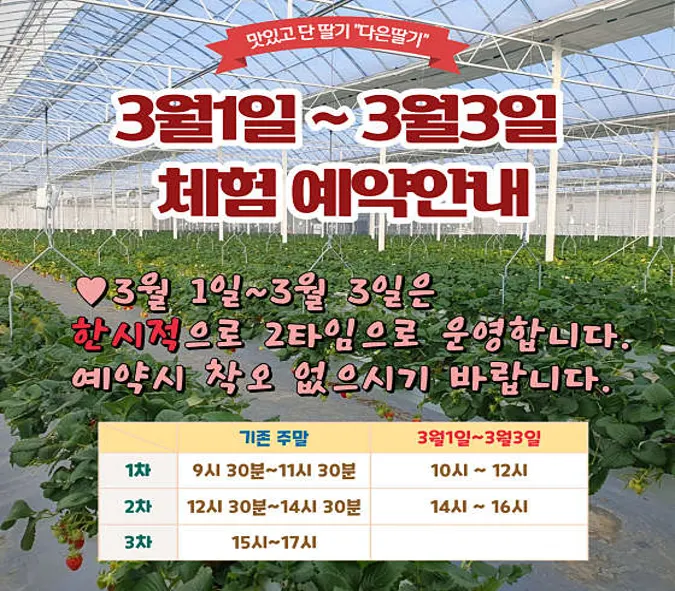 다은딸기