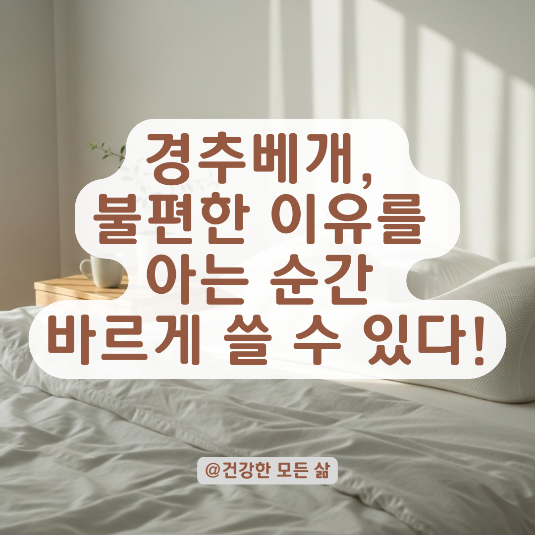 목에는 좋다는데 왜 불편할까? 경추베개 사용 시 흔한 착각과 오해.