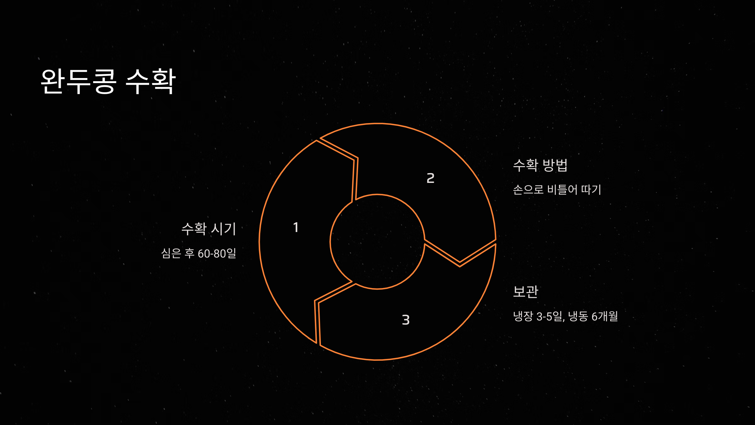 완두콩 수확 시기와 방법
