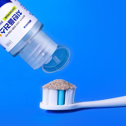 치탄플러스 후기