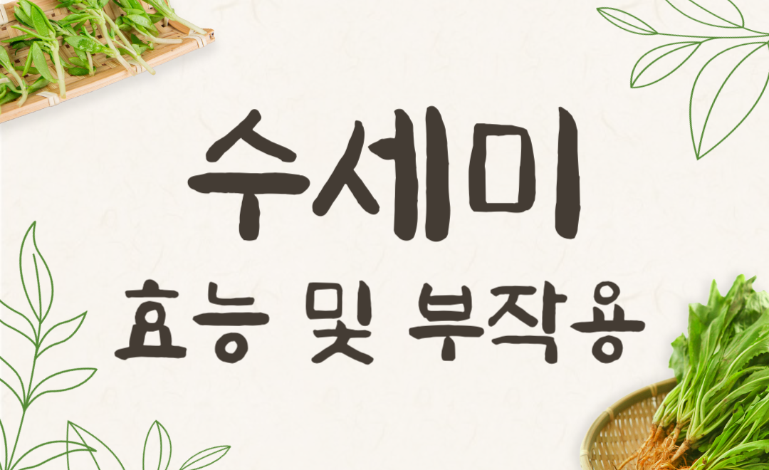 수세미 효능과 부작용