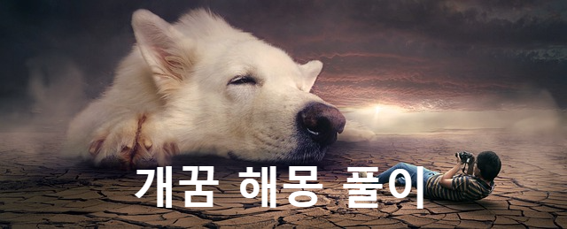 개 꿈 해몽 풀이, 짐승이 나오는 꿈 해몽 풀이.