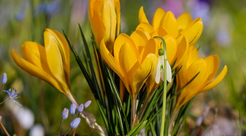 건설업 창업, 초기 자본과 성공 노하우 공개