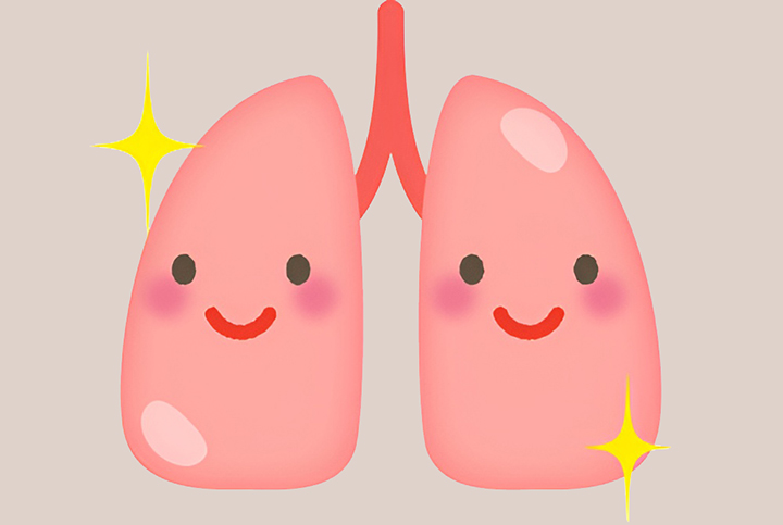건강한-폐의-모습