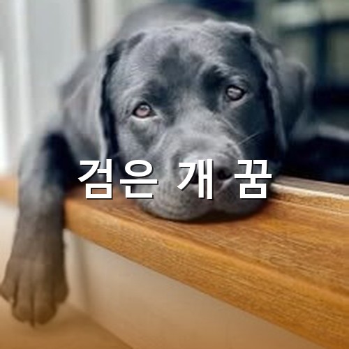 검은-개가-마루에-얼굴을-대고-멍하니-쳐다보는-모습